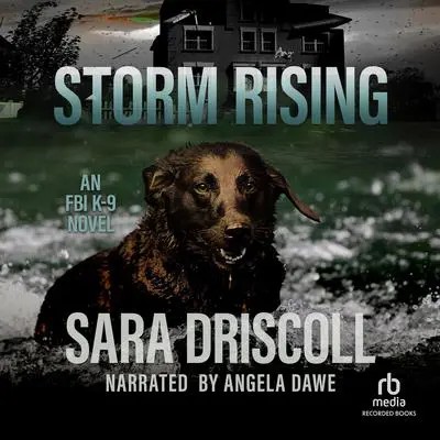 Storm Rising Audibook, by Sara Driscoll