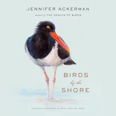 Birds by the Shore: Observing the Natural Life of the Atlantic Coast Audibook, by Jennifer Ackerman