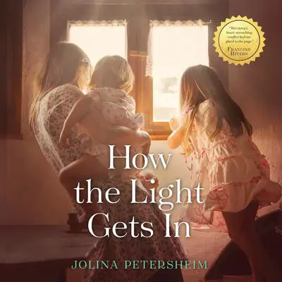 How the Light Gets In Audibook, by Jolina Petersheim