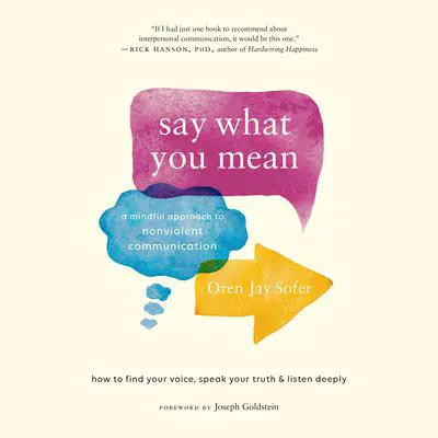 Say What You Mean: A Mindful Approach to Nonviolent Communication Audibook, by Oren Jay Sofer