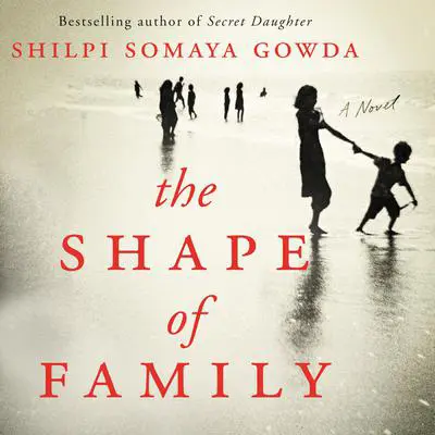 The Shape of Family: A Novel Audibook, by Shilpi Somaya Gowda