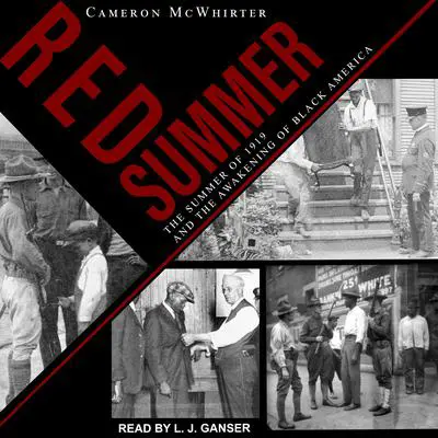 Red Summer: The Summer of 1919 and the Awakening of Black America Audibook, by Cameron McWhirter