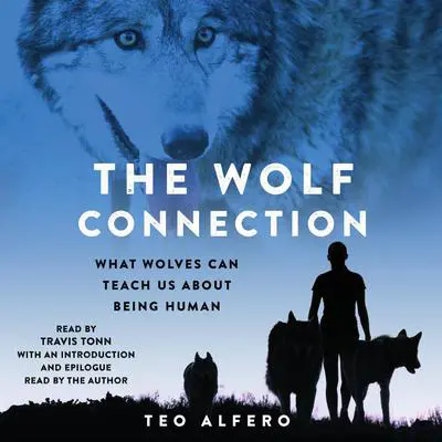 The Wolf Connection: What Wolves Can Teach Us About Being Human Audibook, by Teo Alfero
