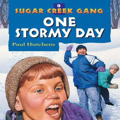 One Stormy Day Audibook, by Paul Hutchens