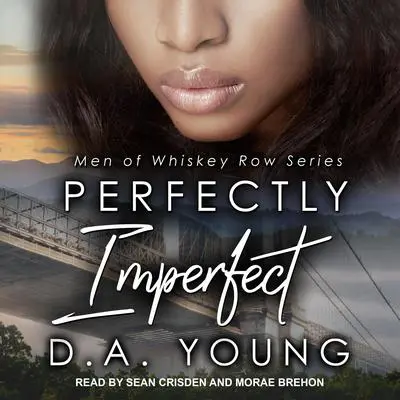 Perfectly Imperfect Audibook, by D. A. Young