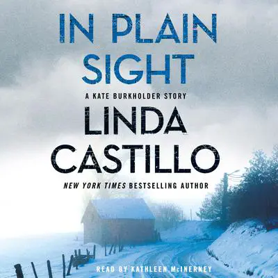 In Plain Sight: A Kate Burkholder Short Mystery Audibook, by Linda Castillo