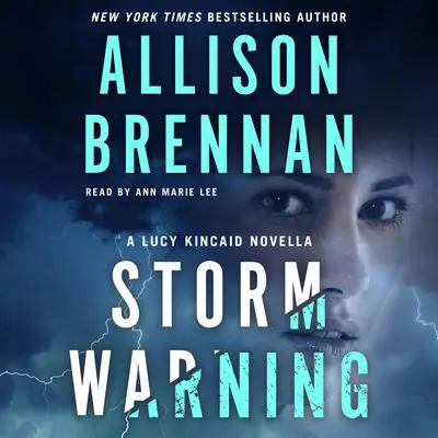 Storm Warning: A Lucy Kincaid Novella Audibook, by Allison Brennan