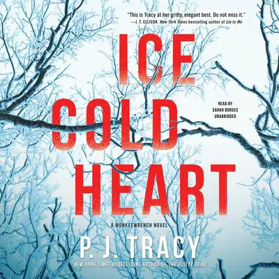 Ice Cold Heart: A Monkeewrench Novel Audibook, by P. J. Tracy