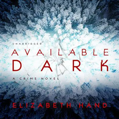 Available Dark Audibook, by Elizabeth Hand