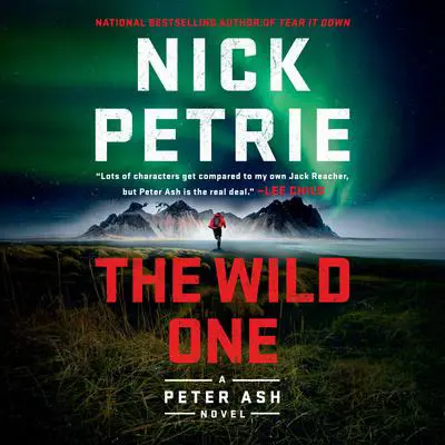 The Wild One Audibook, by Nick Petrie