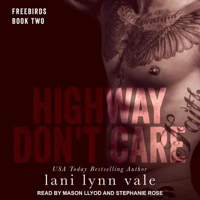 Highway Don't Care Audibook, by Lani Lynn Vale
