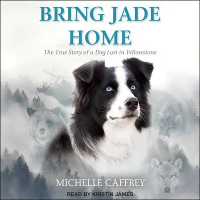 Bring Jade Home: The True Story of a Dog Lost in Yellowstone and the People Who Searched for Her Audibook, by Michelle Caffrey