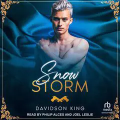 Snow Storm Audibook, by Davidson King