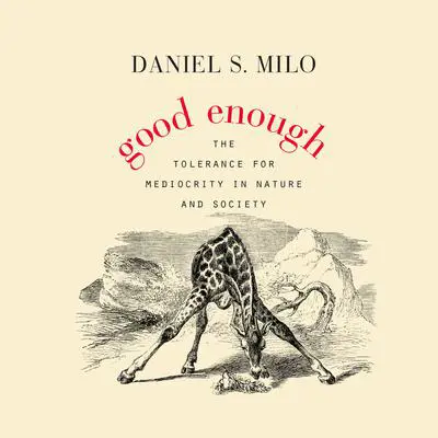 Good Enough Audibook, by Daniel S. Milo