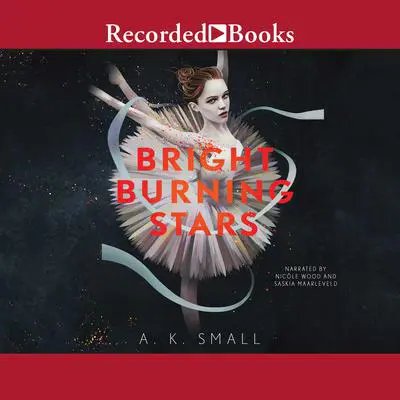 Bright Burning Stars Audibook, by A. K. Small