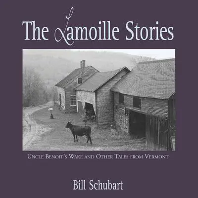 The Lamoille Stories Audibook, by Bill Schubart