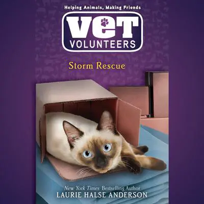 Storm Rescue Audibook, by Laurie Halse Anderson