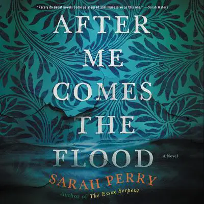 After Me Comes the Flood: A Novel Audibook, by Sarah Perry