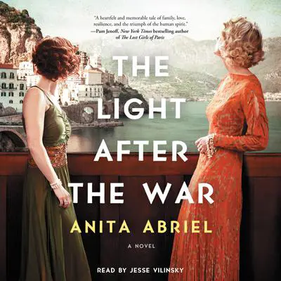 The Light After the War: A Novel Audibook, by Anita Abriel
