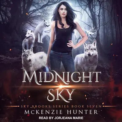 Midnight Sky Audibook, by McKenzie Hunter