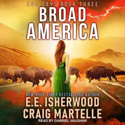 Broad America Audibook, by Craig Martelle