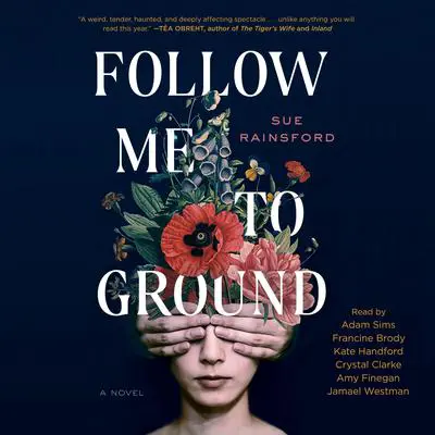 Follow Me To Ground: A Novel Audibook, by Sue Rainsford
