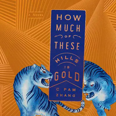 How Much of These Hills Is Gold: A Novel Audibook, by C Pam Zhang