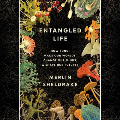 Entangled Life: How Fungi Make Our Worlds, Change Our Minds & Shape Our Futures Audibook, by Merlin Sheldrake