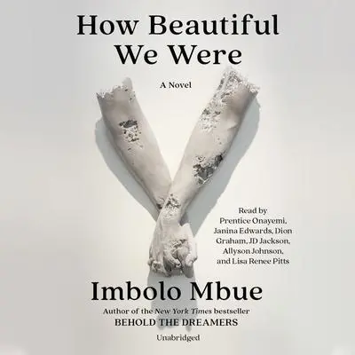 How Beautiful We Were: A Novel Audibook, by Imbolo Mbue