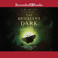 The Brilliant Dark Audibook, by S.M. Beiko