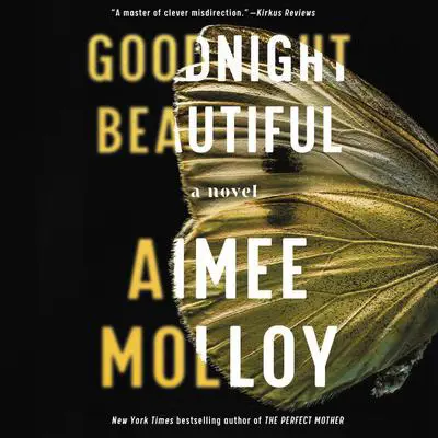 Goodnight Beautiful: A Novel Audibook, by Aimee Molloy