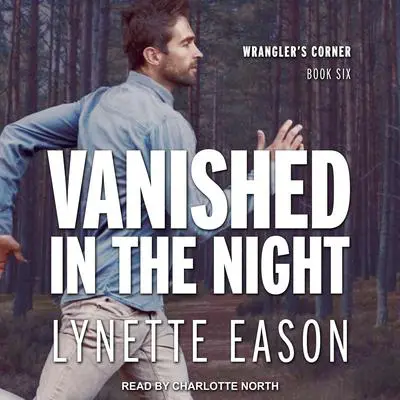 Vanished in the Night Audibook, by Lynette Eason