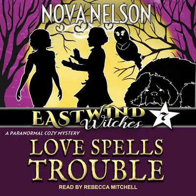 Love Spells Trouble Audibook, by Nova Nelson