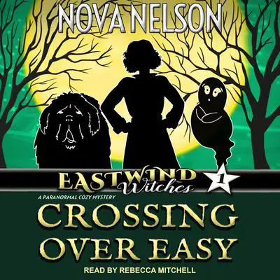 Crossing Over Easy Audibook, by Nova Nelson
