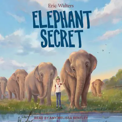 Elephant Secret Audibook, by Eric Walters