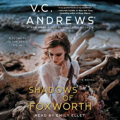 Shadows of Foxworth Audibook, by V. C. Andrews
