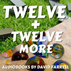 Twelve + Twelve More Audibook, by David Farrell
