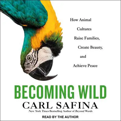 Becoming Wild: How Animal Cultures Raise Families, Create Beauty, and Achieve Peace Audibook, by Carl Safina