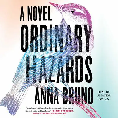 Ordinary Hazards: A Novel Audibook, by Anna Bruno