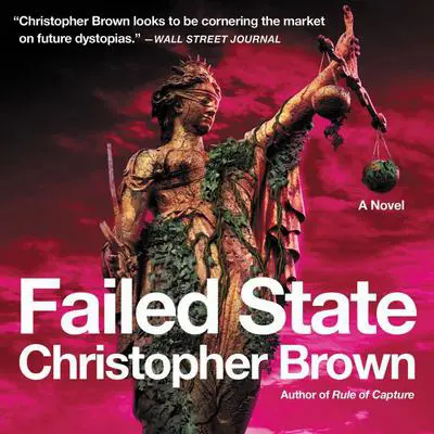 Failed State: A Novel Audibook, by Christopher Brown