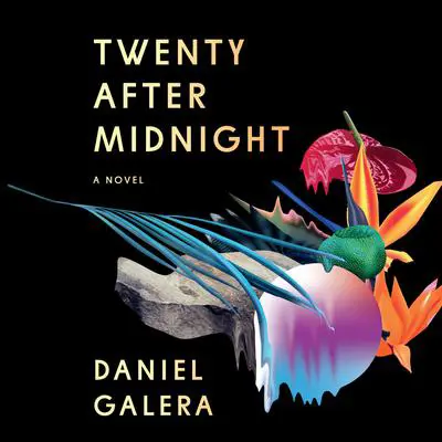 Twenty After Midnight: A Novel Audibook, by Daniel Galera