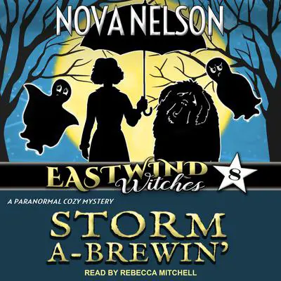 Storm a-Brewin’ Audibook, by Nova Nelson