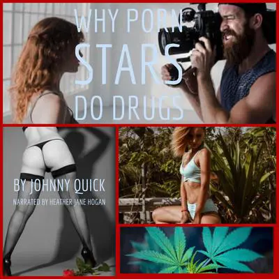 Why Porn Stars Do Drugs  Audibook, by Johnny Quick