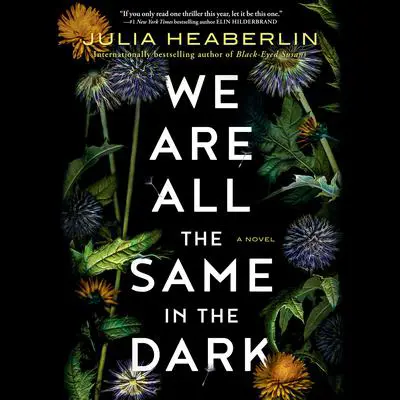 We Are All the Same in the Dark: A Novel Audibook, by Julia Heaberlin