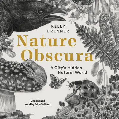 Nature Obscura: A City’s Hidden Natural World Audibook, by Kelly Brenner