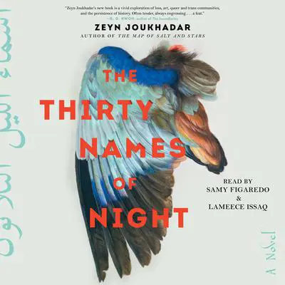 The Thirty Names of Night: A Novel Audibook, by Zeyn Joukhadar