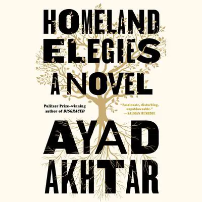 Homeland Elegies: A Novel Audibook, by Ayad Akhtar