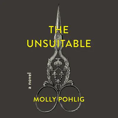 The Unsuitable: A Novel Audibook, by Molly Pohlig