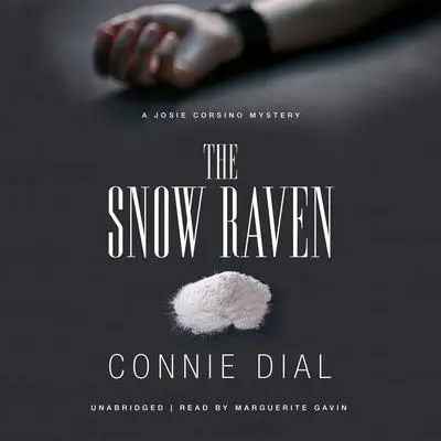 The Snow Raven Audibook, by Connie Dial