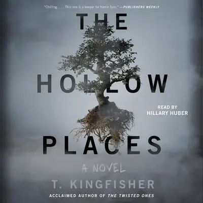 The Hollow Places Audibook, by T. Kingfisher